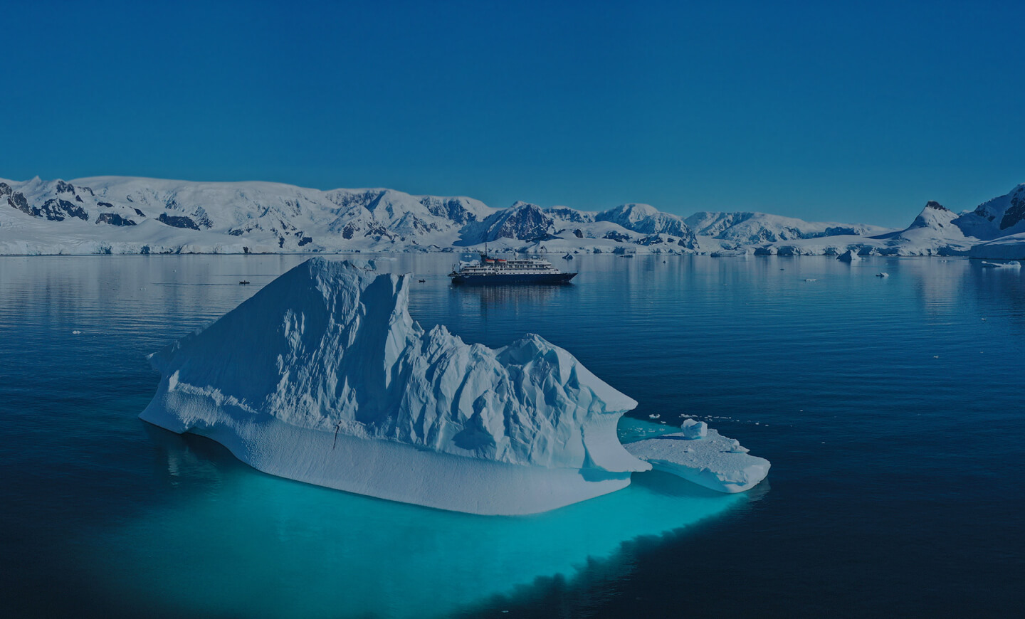 Непризнанные короли Южного океана - киты Антарктики | Круизы с Клубом Полярных Путешествий